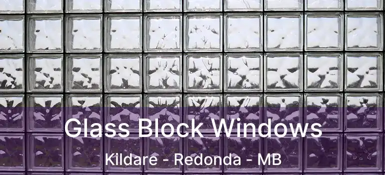  Glass Block Windows Kildare - Redonda - MB