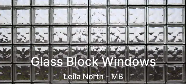  Glass Block Windows Leila North - MB