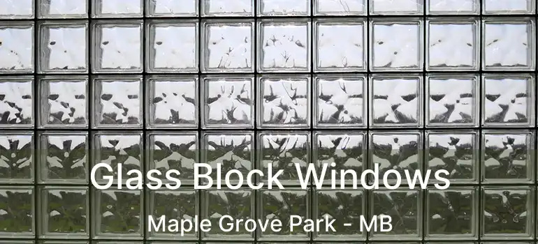  Glass Block Windows Maple Grove Park - MB