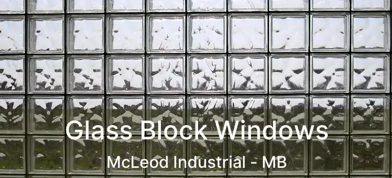  Glass Block Windows McLeod Industrial - MB
