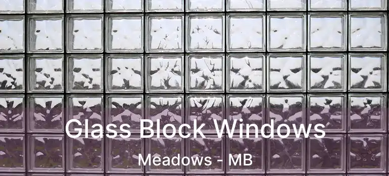  Glass Block Windows Meadows - MB