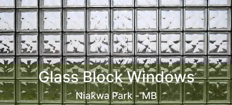  Glass Block Windows Niakwa Park - MB
