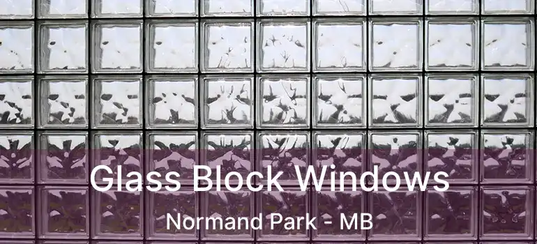  Glass Block Windows Normand Park - MB