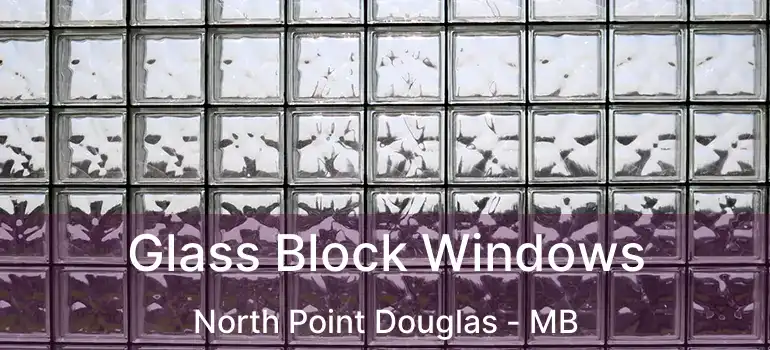  Glass Block Windows North Point Douglas - MB