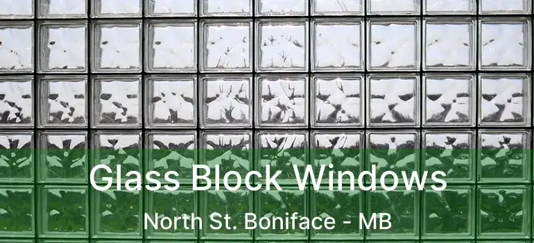  Glass Block Windows North St. Boniface - MB