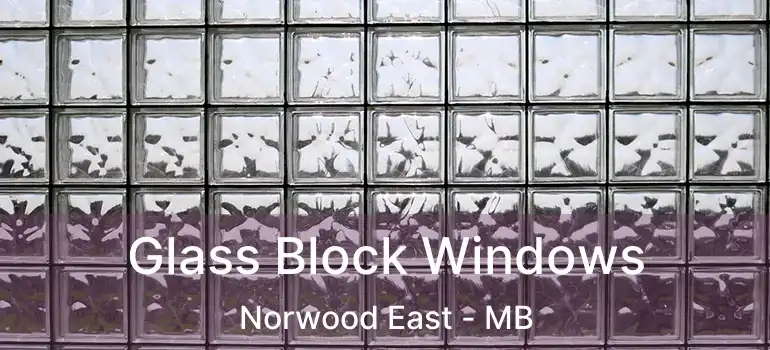  Glass Block Windows Norwood East - MB