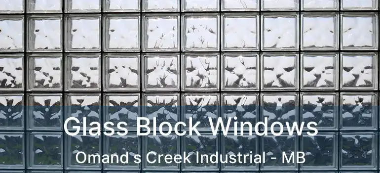  Glass Block Windows Omand s Creek Industrial - MB