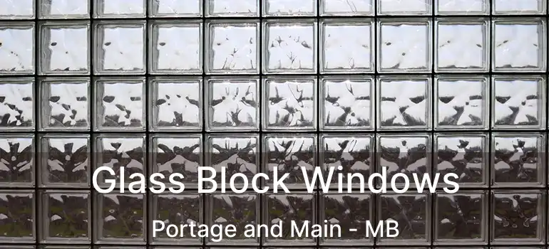  Glass Block Windows Portage and Main - MB