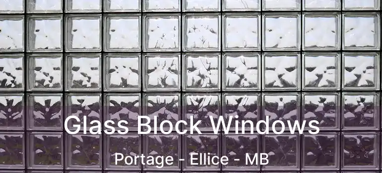  Glass Block Windows Portage - Ellice - MB