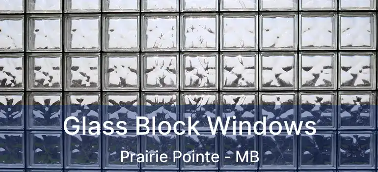  Glass Block Windows Prairie Pointe - MB