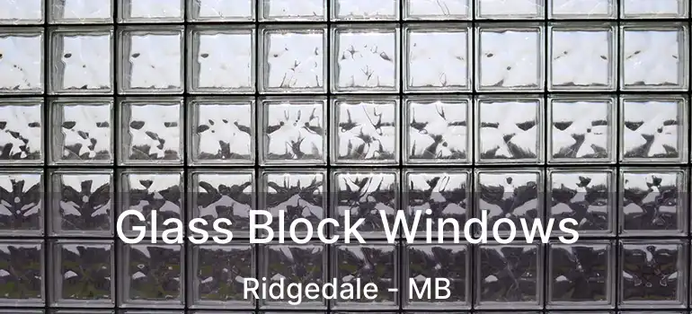  Glass Block Windows Ridgedale - MB