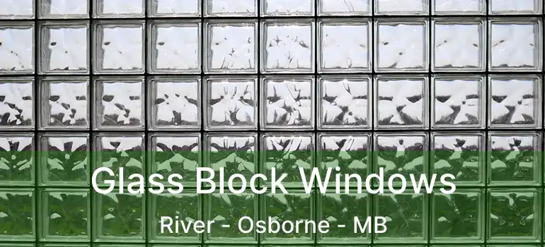  Glass Block Windows River - Osborne - MB