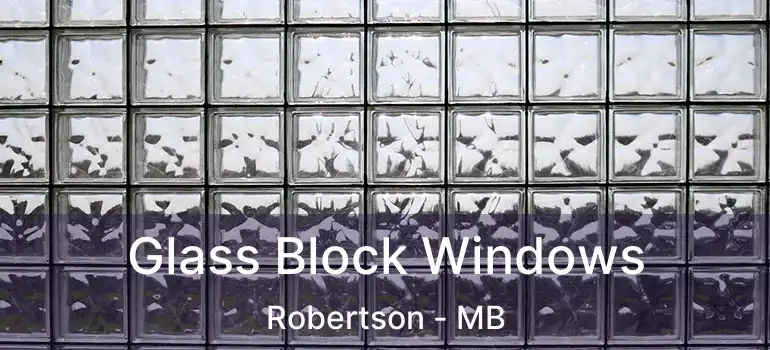  Glass Block Windows Robertson - MB