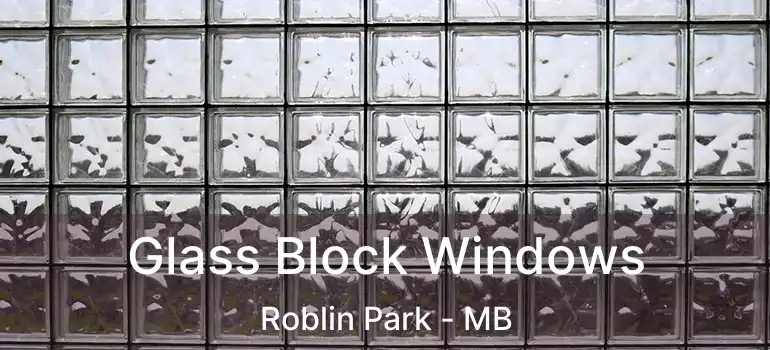  Glass Block Windows Roblin Park - MB