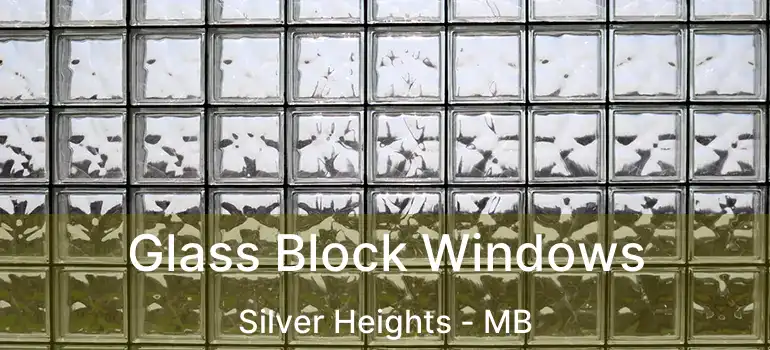  Glass Block Windows Silver Heights - MB