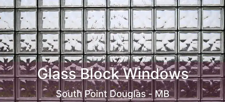  Glass Block Windows South Point Douglas - MB