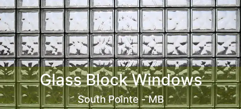  Glass Block Windows South Pointe - MB