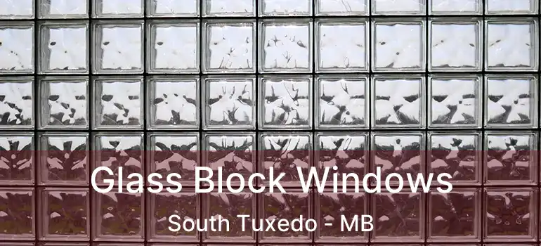  Glass Block Windows South Tuxedo - MB