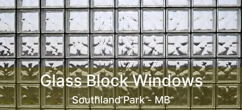  Glass Block Windows Southland Park - MB