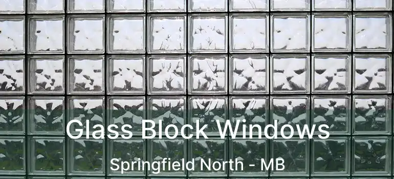  Glass Block Windows Springfield North - MB