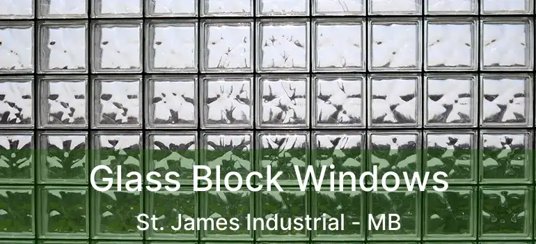  Glass Block Windows St. James Industrial - MB