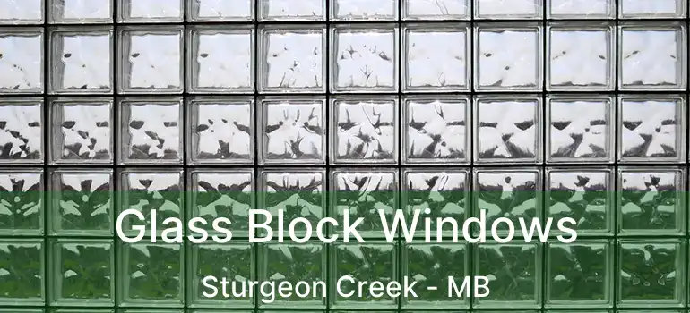  Glass Block Windows Sturgeon Creek - MB