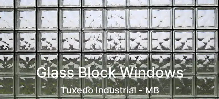  Glass Block Windows Tuxedo Industrial - MB