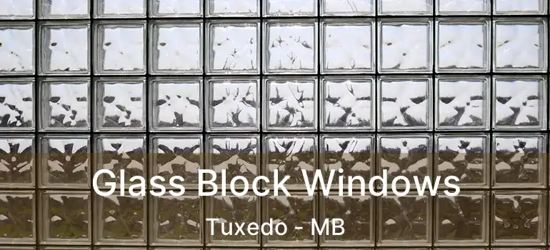  Glass Block Windows Tuxedo - MB