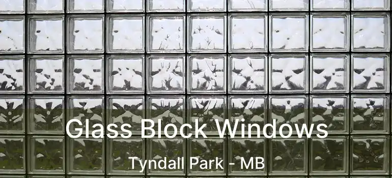  Glass Block Windows Tyndall Park - MB