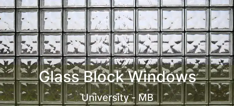  Glass Block Windows University - MB