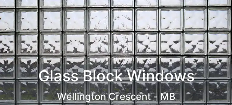  Glass Block Windows Wellington Crescent - MB