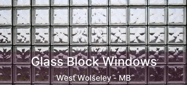  Glass Block Windows West Wolseley - MB