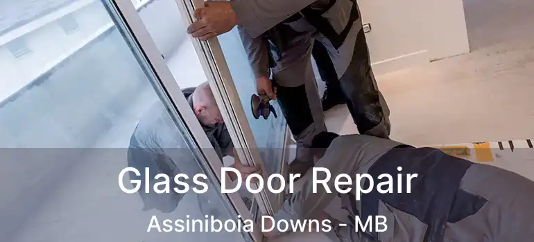  Glass Door Repair Assiniboia Downs - MB