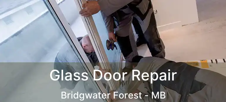  Glass Door Repair Bridgwater Forest - MB