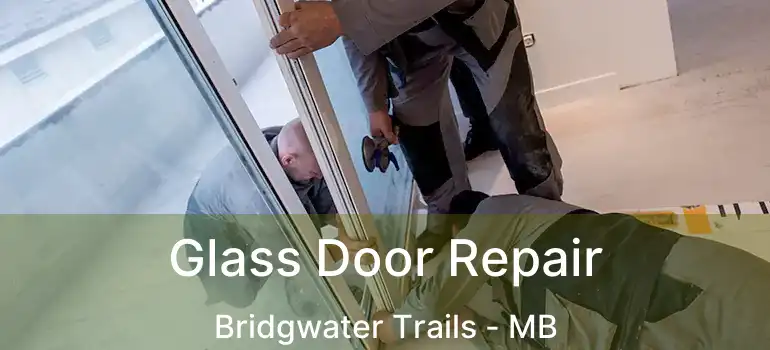 Glass Door Repair Bridgwater Trails - MB