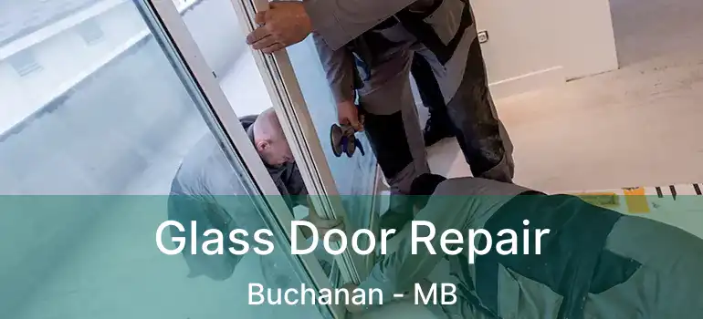  Glass Door Repair Buchanan - MB