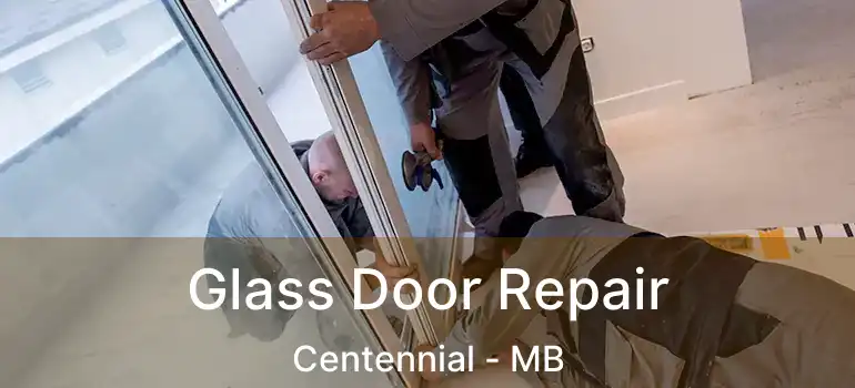 Glass Door Repair Centennial - MB
