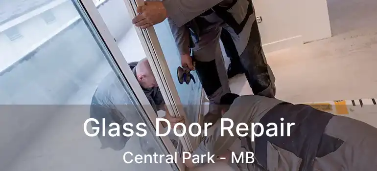  Glass Door Repair Central Park - MB