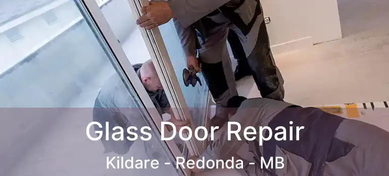 Glass Door Repair Kildare - Redonda - MB