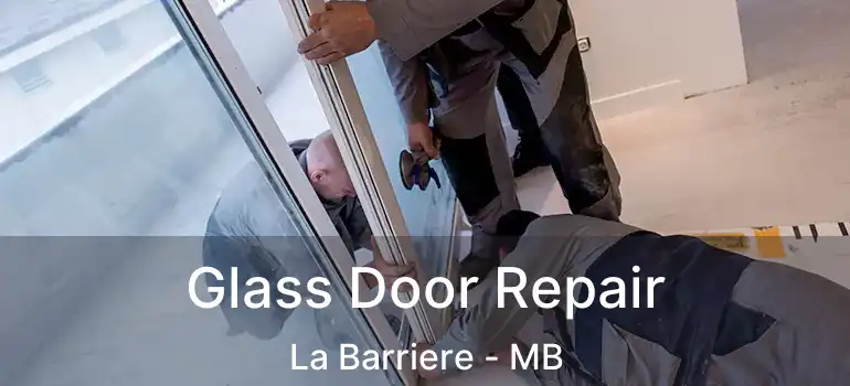  Glass Door Repair La Barriere - MB