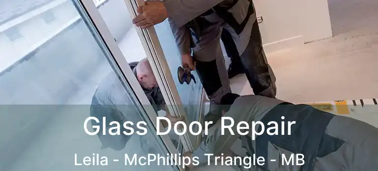  Glass Door Repair Leila - McPhillips Triangle - MB