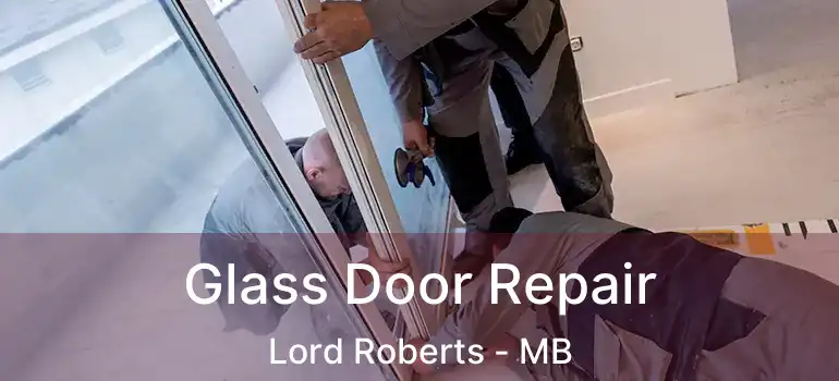  Glass Door Repair Lord Roberts - MB