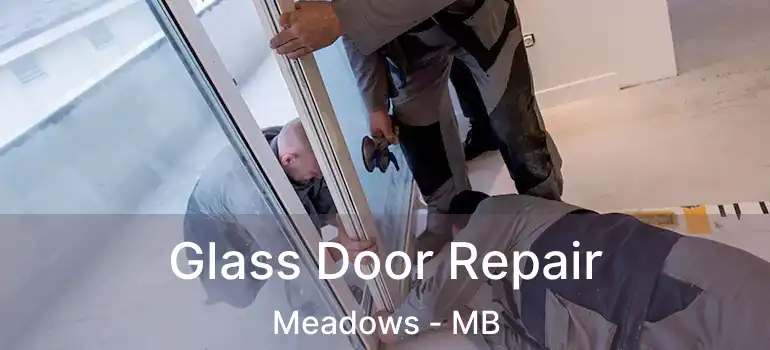  Glass Door Repair Meadows - MB