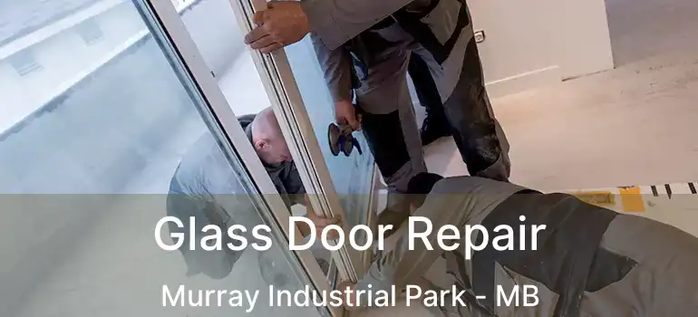  Glass Door Repair Murray Industrial Park - MB