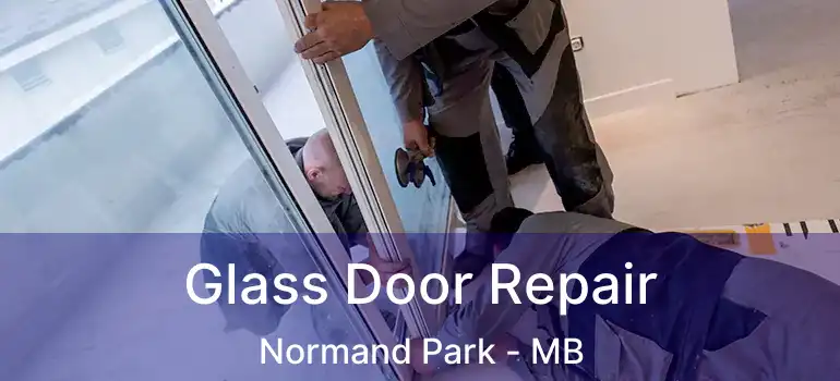  Glass Door Repair Normand Park - MB