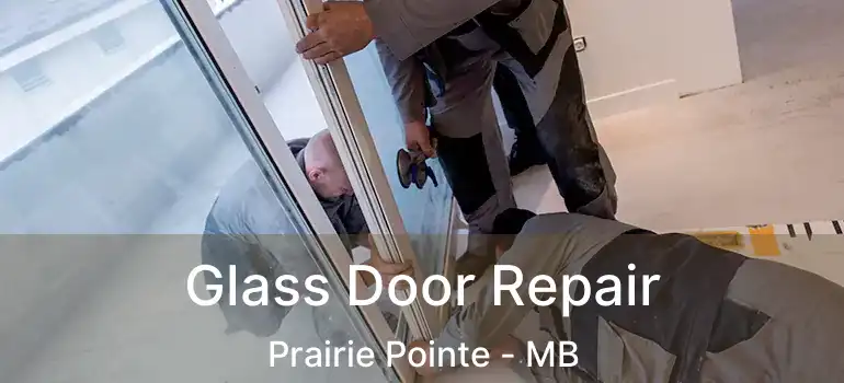  Glass Door Repair Prairie Pointe - MB