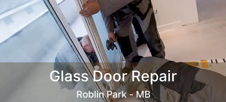  Glass Door Repair Roblin Park - MB