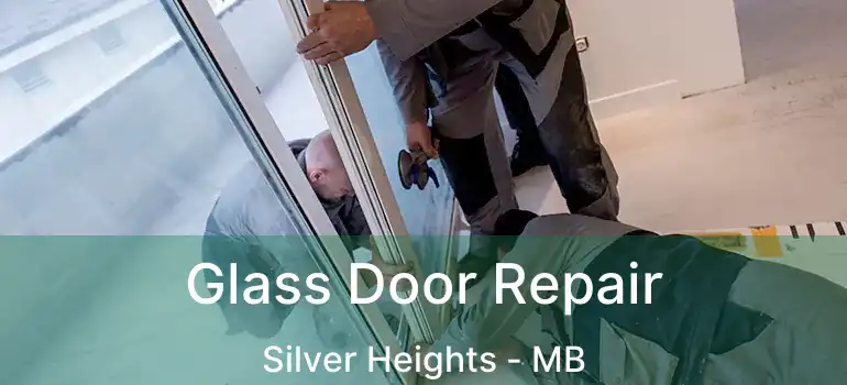  Glass Door Repair Silver Heights - MB
