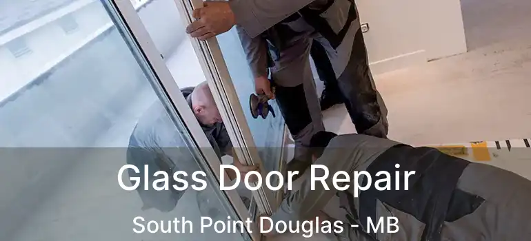  Glass Door Repair South Point Douglas - MB