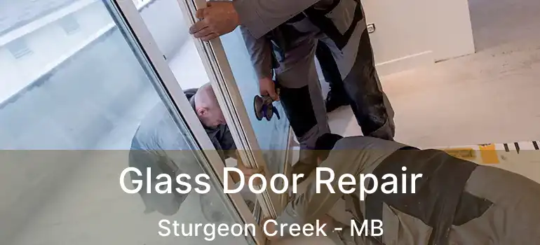  Glass Door Repair Sturgeon Creek - MB
